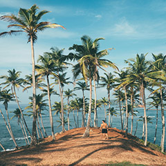 Sunset view at Mirissa Beach, Sri Lanka
