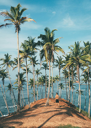 Sunset view at Mirissa Beach, Sri Lanka